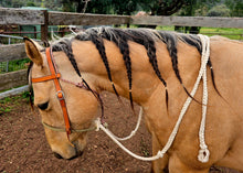 Load image into Gallery viewer, BRR COMPLETE LOPING HACKAMORE - CUSTOM ORDER