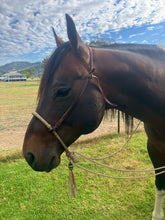 Load image into Gallery viewer, BOSALITA MECATE or ROPE with Decorative Knot