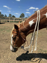 Load image into Gallery viewer, BRR COMPLETE LOPING HACKAMORE - CUSTOM ORDER