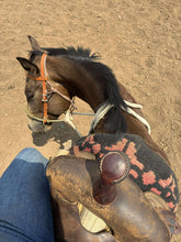 Load image into Gallery viewer, BRR COMPLETE LOPING HACKAMORE - CUSTOM ORDER