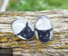 Load image into Gallery viewer, OVAL CAB COWGIRL CANDY EARRING COLLECTION