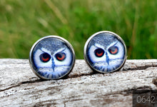 Load image into Gallery viewer, 12MM ROUND CAB COWGIRL CANDY EARRINGS - ANIMALS COLLECTION