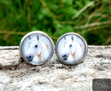 Load image into Gallery viewer, 12MM ROUND CAB COWGIRL CANDY EARRING - PERFECT PONIES COLLECTION