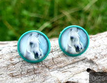 Load image into Gallery viewer, 12MM ROUND CAB COWGIRL CANDY EARRING - PERFECT PONIES COLLECTION