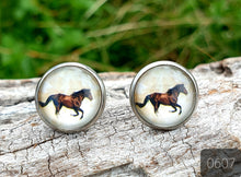 Load image into Gallery viewer, 12MM ROUND CAB COWGIRL CANDY EARRING - PERFECT PONIES COLLECTION