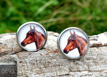 Load image into Gallery viewer, 12MM ROUND CAB COWGIRL CANDY EARRING - PERFECT PONIES COLLECTION