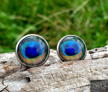 Load image into Gallery viewer, 12MM ROUND CAB COWGIRL CANDY EARRINGS - FEATHER COLLECTION