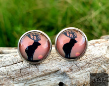 Load image into Gallery viewer, 12MM ROUND CAB COWGIRL CANDY EARRINGS - ANIMALS COLLECTION