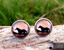 Load image into Gallery viewer, 12MM ROUND CAB COWGIRL CANDY EARRING - PERFECT PONIES COLLECTION