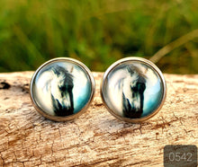 Load image into Gallery viewer, 12MM ROUND CAB COWGIRL CANDY EARRING - PERFECT PONIES COLLECTION