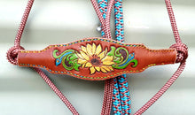 Load image into Gallery viewer, BRONC NOSE HALTER and LEAD SET - Sunflower 004