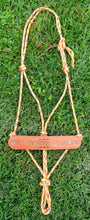 Load image into Gallery viewer, TROPHY ROPE HALTERS - Discounts for multiples