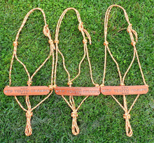 Load image into Gallery viewer, TROPHY ROPE HALTERS - Discounts for multiples