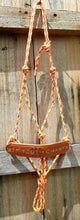 Load image into Gallery viewer, TROPHY ROPE HALTERS - Discounts for multiples