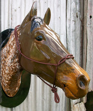 Load image into Gallery viewer, NO KNOTS SPLICED ROPE HALTER - 35 colours and 3 sizes