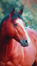 Load and play video in Gallery viewer, KY-EAN BLUE EYED OAK Project Gelding
