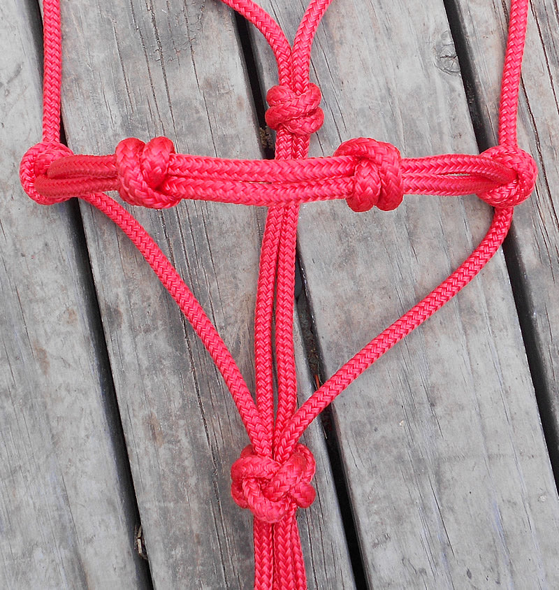 ROPE HALTER with EXTRA KNOTS - 35 colours and 6 sizes – BLUE ROAN ROPES ...