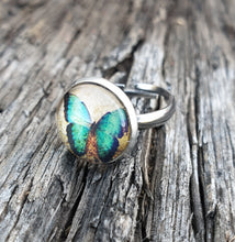 Load image into Gallery viewer, TURQUOISE BUTTERFLY CAB RING
