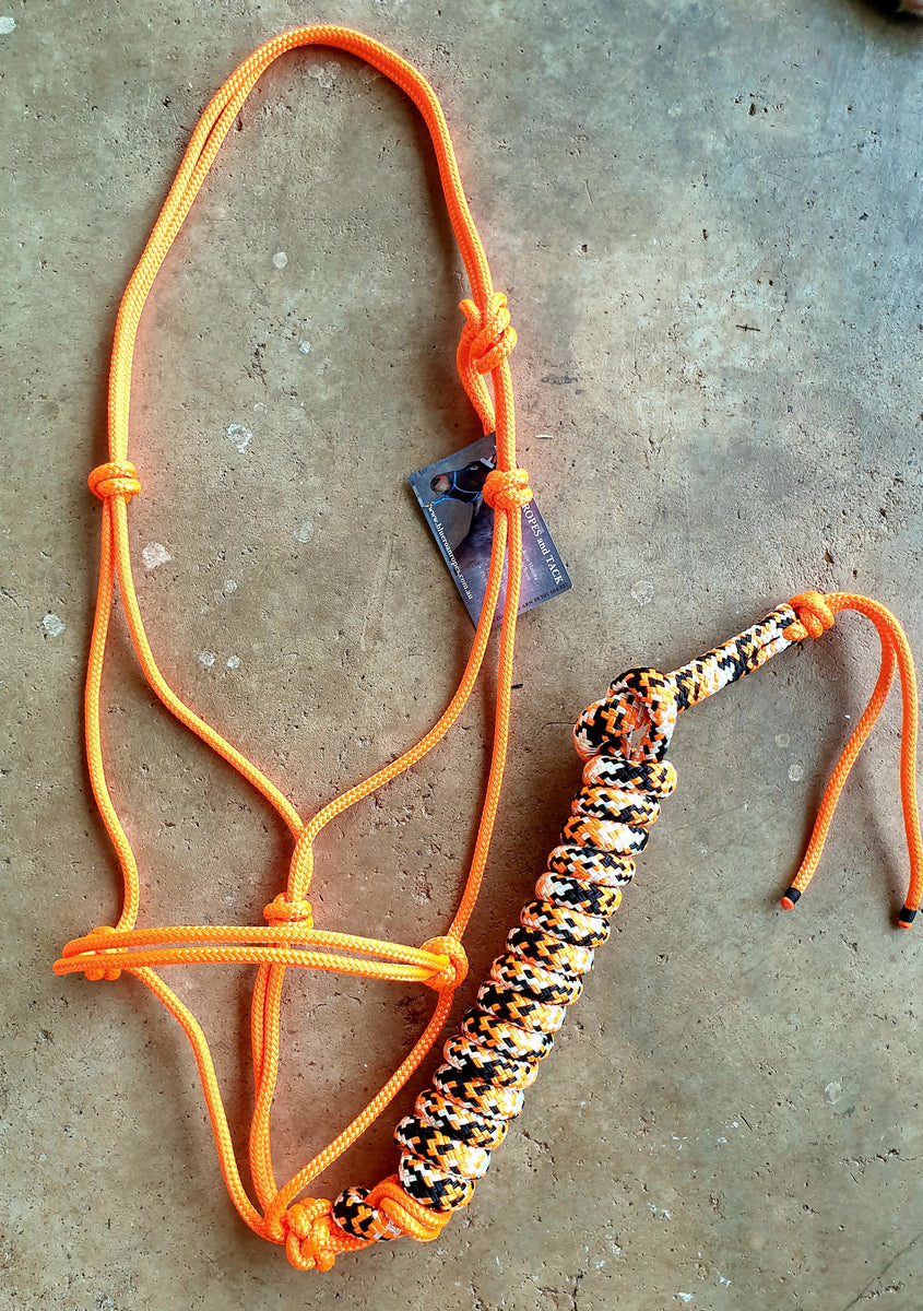 ROPE HALTER and LEAD SET - End of Line – BLUE ROAN ROPES and TACK